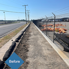 Commercial-Privacy-Planting-Project-at-Stratford-Airport 0